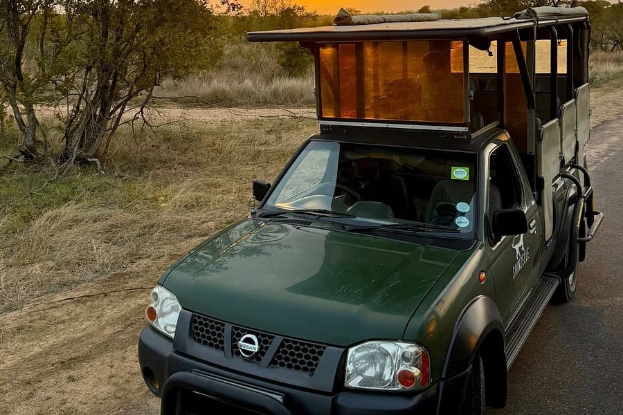 Kruger National Park Safari