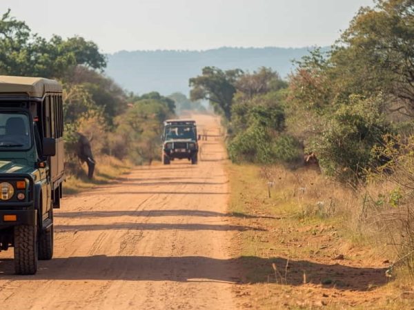 Kruger National Park Safari Luxury Treat - 2 Day